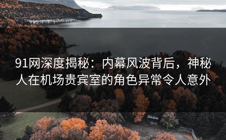 91网深度揭秘：内幕风波背后，神秘人在机场贵宾室的角色异常令人意外