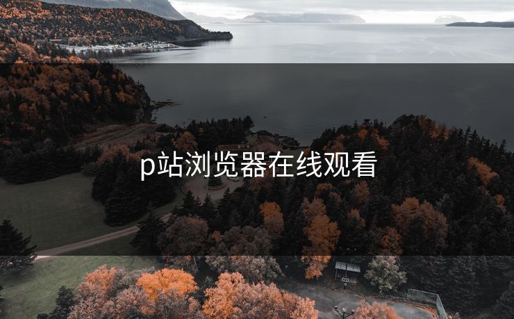 p站浏览器在线观看