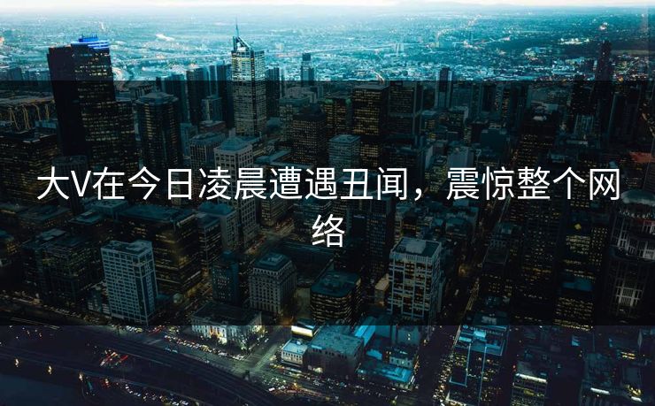 大V在今日凌晨遭遇丑闻，震惊整个网络