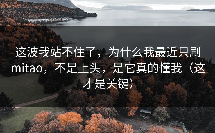 这波我站不住了，为什么我最近只刷mitao，不是上头，是它真的懂我（这才是关键）
